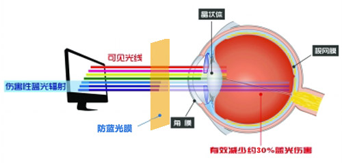好色视频下载APP最新科技成果 好色先生软件下载成護眼利器 好色视频下载APP最新科技成果 好色先生软件下载成護眼利器